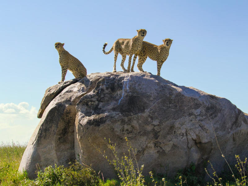 Serengeti National Park